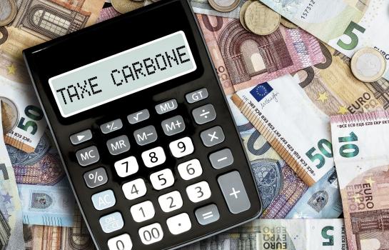 Tributo medioambiental_imagen