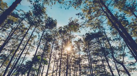 Proyecto evaluacion medioambiente_imagen