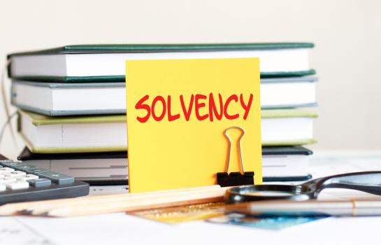 Solvencia empresarial_plazos_imagen.