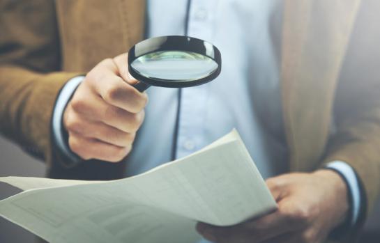 Inspeccion fraude seguridad social_imagen.