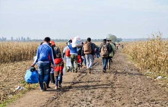 Migrantes