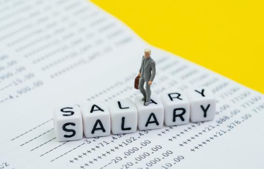 Salario mínimo interprofesional subida