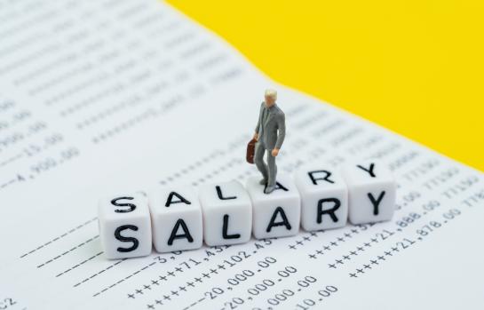 Salario mínimo interprofesional subida