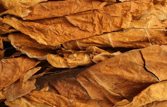 Exencion impuestos especiales_imagen.