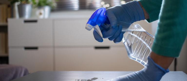 Situación laboral de las empleadas del hogar_imagen