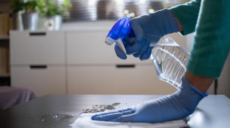 Empleada del hogar-img