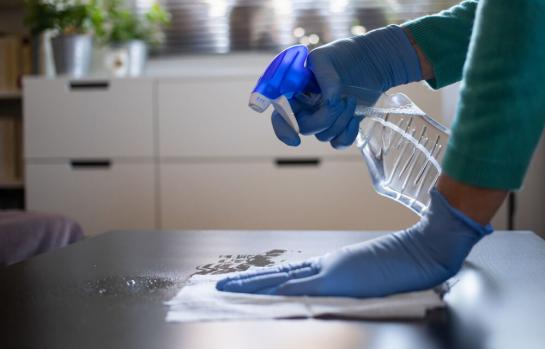 Empleada del hogar-img