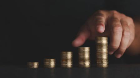 Salario Minimo Interprofesional_img.