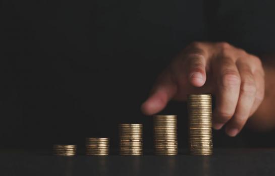 Salario Minimo Interprofesional_img.