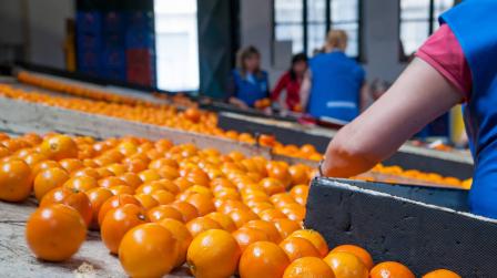 Negociacion colectiva_img