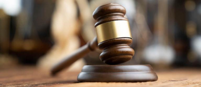 La desobediencia en justicia-img