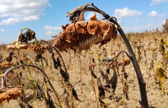 Medidas sector agrario-img