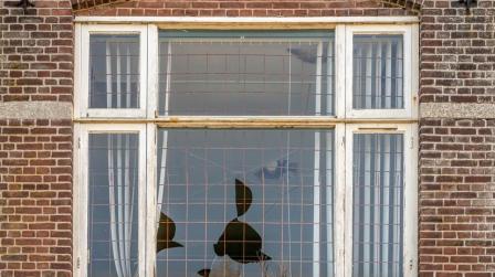 Vivienda arrendada ocupada-img