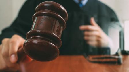 Organos judiciales estadistica-img