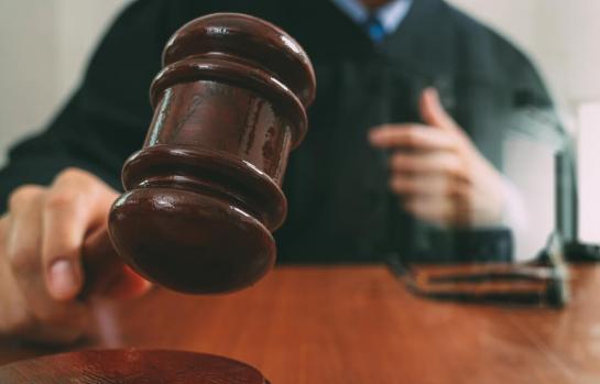 Organos judiciales estadistica-img