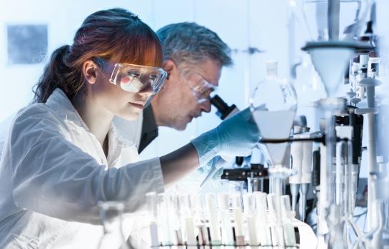 Contratacion de investigador-img