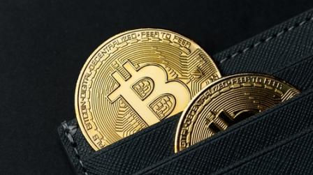 Bitcoins ORGA-img