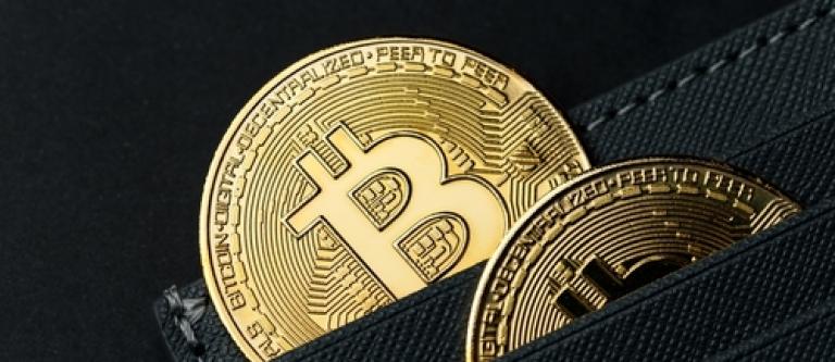 Bitcoins ORGA-img