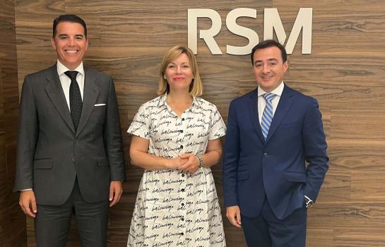 RSM_Ukrainian Desk_img
