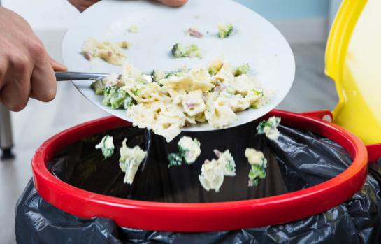 Despilfarro de los alimentos-img