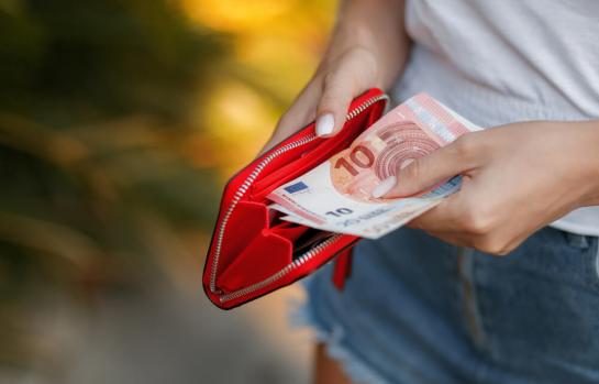 Objetivos del Ingreso Minimo Vital-img