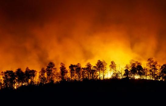 Incendios forestales