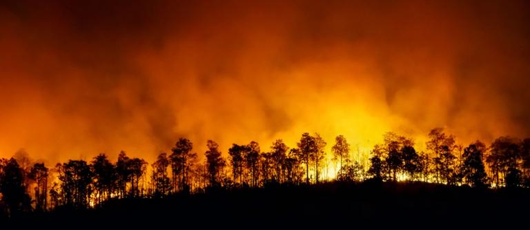 Incendios forestales