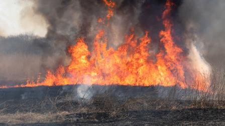 Medidas para la prevencion de los incendios forestales_img