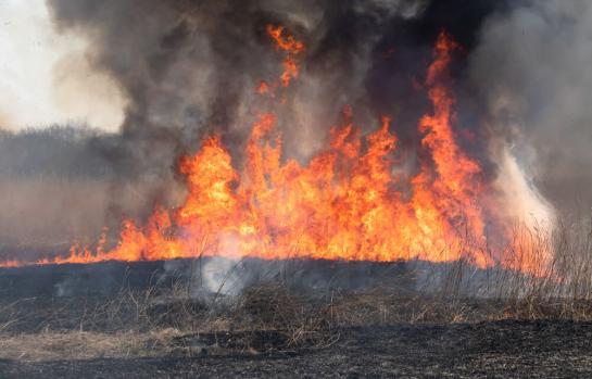 Medidas para la prevencion de los incendios forestales_img