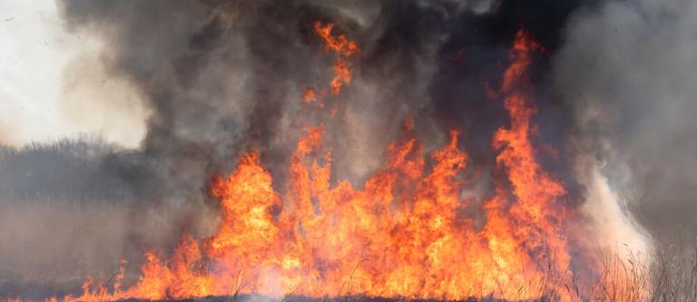 Medidas para la prevencion de los incendios forestales_img