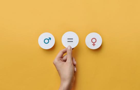 Plan de Igualdad Comunidad de Madrid_img