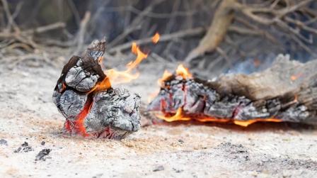 Ayudas a las zonas de los incendios_img