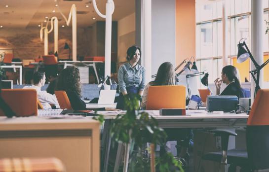 Programa de startups del Gobierno_img