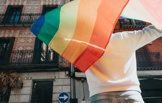 Comité LGTBI