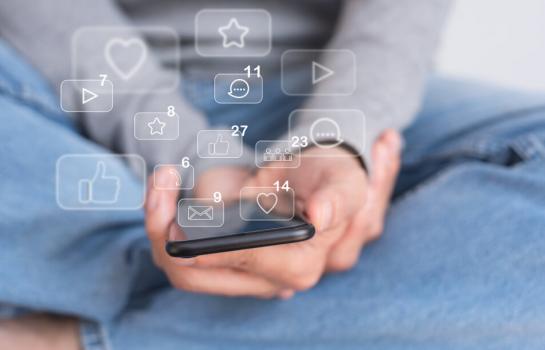 Publicaciones de menores en internet_img