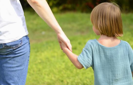 Regimen de visitas por el juez_img