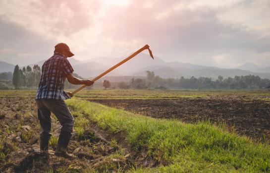 Trabajadores del campo