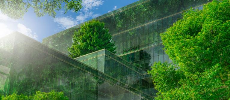 Plan bosque verde