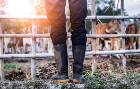 Modulos de cotizacion para agricultor y ganadero_img
