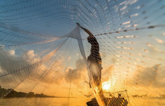 Pesca ilegal y medidas_img