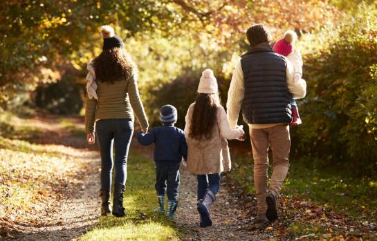 Ley para nuevas familias y parejas de hecho_img