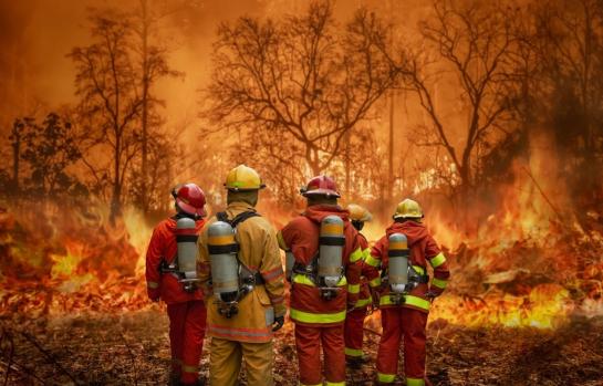 Bomberos forestales