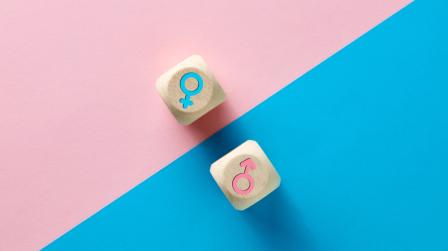 Ley personas trans y LGTBI y no discriminación_img