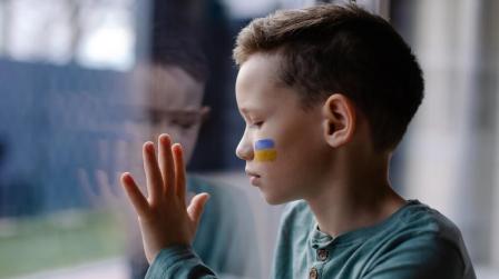 Refugiados y acogida en España_img