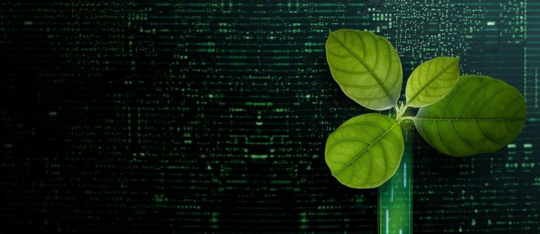 Sostenibilidad en las empresas y nueva directiva_img