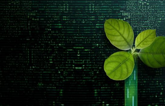 Sostenibilidad en las empresas y nueva directiva_img