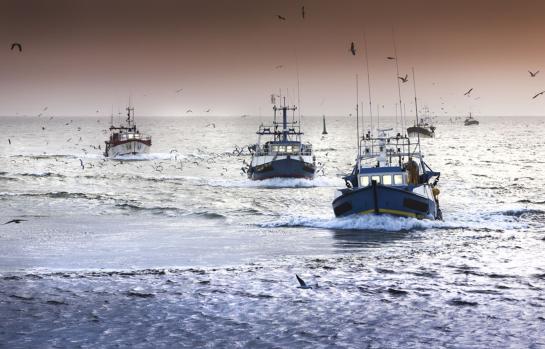 Pesca sostenible