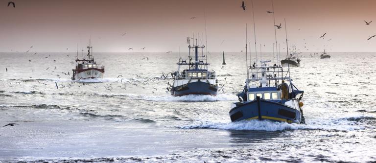 Pesca sostenible