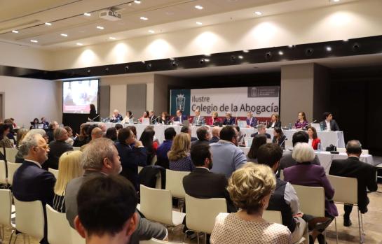 Junta General del ICAM reunida en sesión ordinaria y extraordinaria_img
