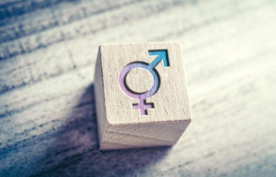 Plan de igualdad del Congreso_img